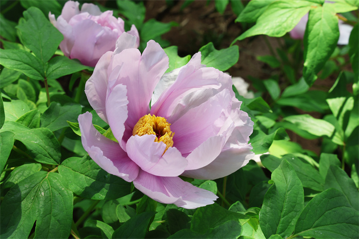9I1A0242副本.jpg