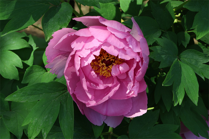9I1A0277.jpg